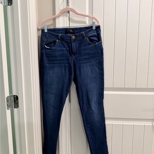 1822 Denim Deep Indigo Skinny Jeans